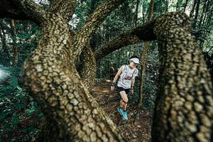 BIB: 
                            <button type="button" onclick="openModal(25392644)" class="btn btn-primary btn-sm float-right btn-popup" data-toggle="modal" data-target=".modal-high-quality">
                        <i class="fas fa-shopping-cart"></i> Add to Cart
                    </button>
                                            <button type="button" onclick="isThisMe(25392644, true)" class="btn btn-success btn-sm float-right btn-popup btn-isme hidden" data-toggle="tooltip" data-placement="bottom" title="นี่คือรูปของคุณใช่ไหม คลิกที่นี่เพื่อเอาเข้าอัลบั้ม">
                        <i class="fas fa-plus"></i> Add to album
                    </button>
                    <button type="button" onclick="isThisMe(25392644, false)" class="btn btn-warning btn-sm float-right btn-popup btn-isnotme hidden">
                        <i class="fas fa-ban"></i> Remove from album
                    </button>